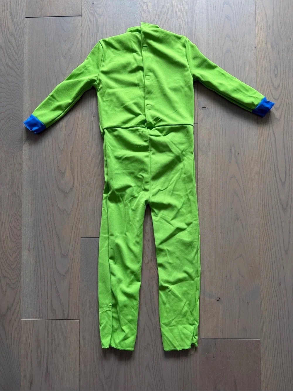 Teenage Mutant Ninja Turtles Leo Green Kids Costume